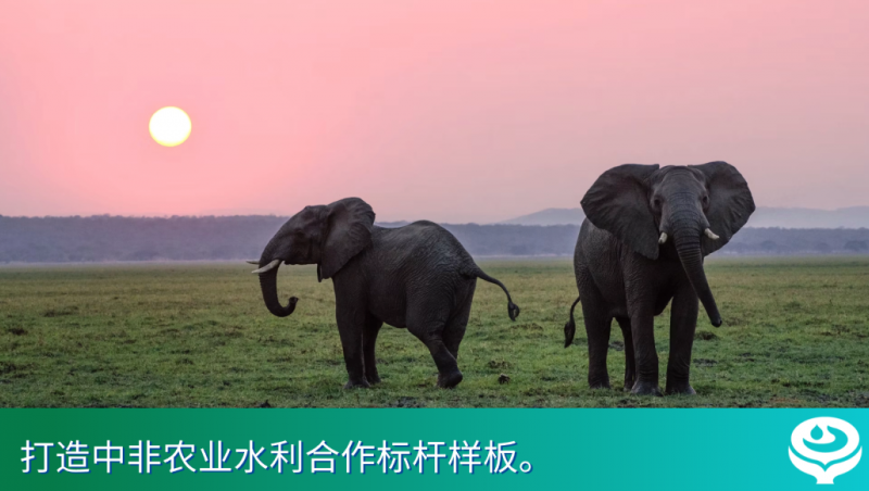 千亿国际国际｜千亿国际集团与津巴布韦副总统在京座谈，全产业链助力津巴布韦破解农业发展难题
